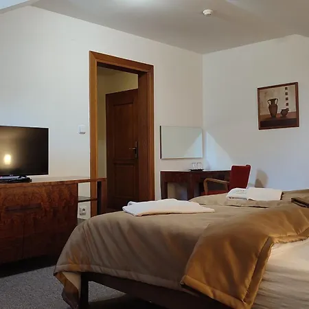 Hotel Vion