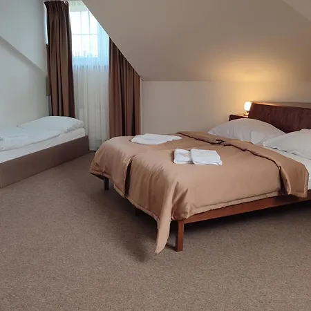 Hotel Vion 3*