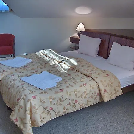 Vion Hotel
