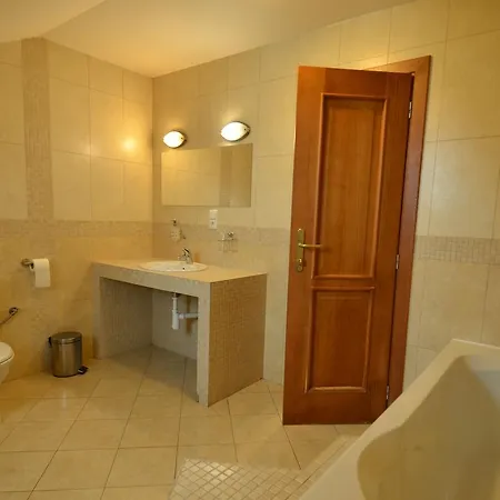Hotel Vion 3*
