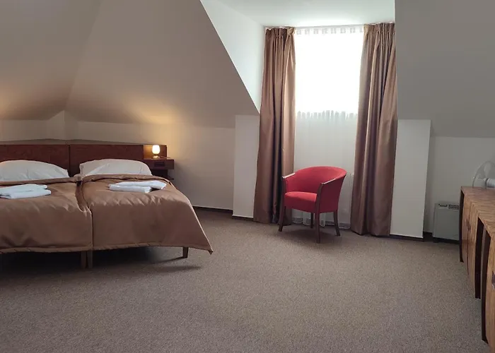Vion Hotell 3*